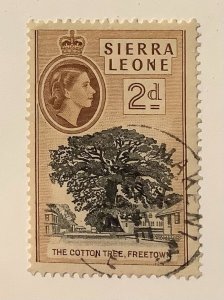 Sierra Leone 1956 Scott 198 used - 2½p,  Queen Elizabeth II & The Cotton Tree