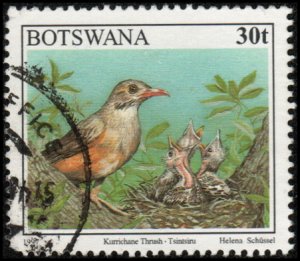 Botswana 625 - Used - 30t Kurrichane Thrush (1997)