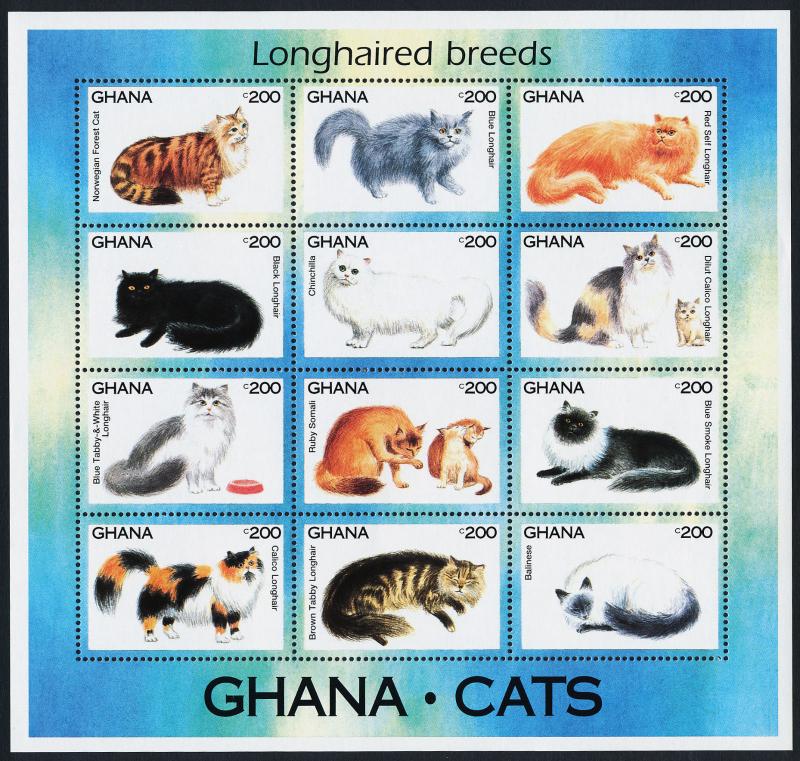 Ghana 1684 MNH Longhaired Cats