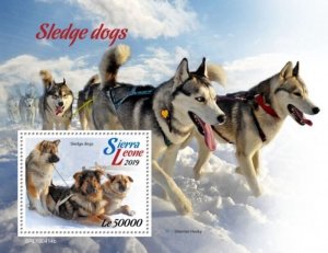 Sierra Leone - 2019 Sledge Dogs on Stamps - Stamp Souvenir Sheet - SRL190414b