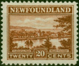 Newfoundland 1924 20c Chestnut SG161 Fine MM