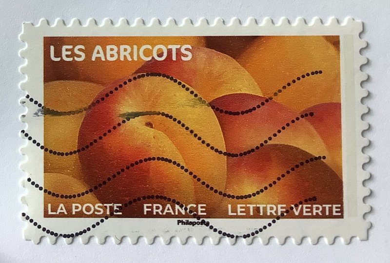 France 2023 Scott 6443 used -  Fruits to Savor, Apricots, les abricots