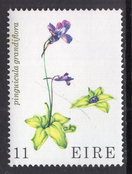 Ireland 430 Flowers MNH VF