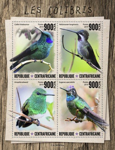 C A R - 2019 - Humming Birds - Perf 4v Sheet  - M N H