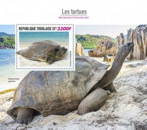 Togo - 2020 Asiatic Softshell Turtles - Stamp Souvenir Sheet - TG200241b