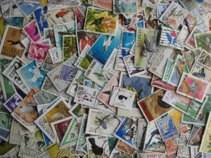 Topical hoard breakup 250 birds (possible bats). Mixed condition,few duplicates