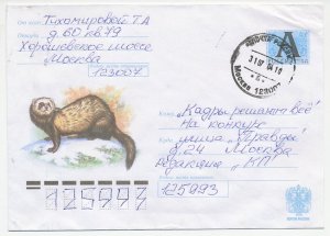 Postal stationery Russia 2004 Polecat - Fitch