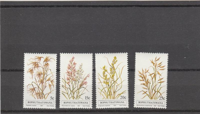 Bophuthatswana  Scott#  80-3  MNH  (1981 Grasses)