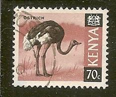 Kenya   Scott  28    Ostrich