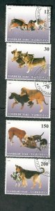 Tajikistan Dogs used Cinderella singles from 1998