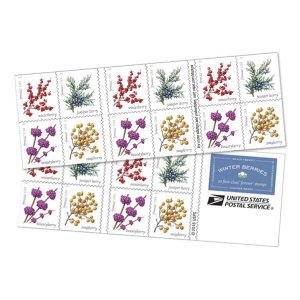 Stamps 2019. USA - Winter berries. Sheet 20..Buklet