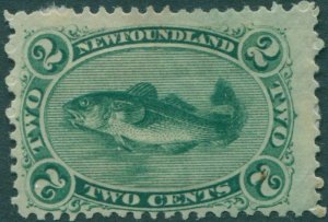 Newfoundland 1865 SG31 2c bluish green Atlantic Cod heavily hinged MH