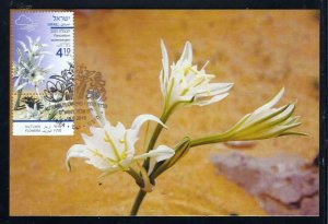 ISRAEL 2019 AUTUMN FLOWERS SET OF 3 STAMPS MAXIMUM CARD FLORA