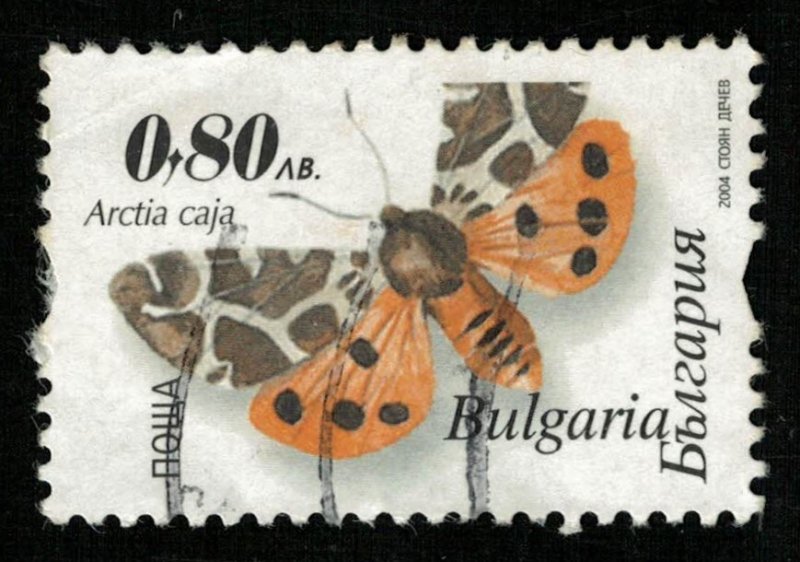 Butterfly (TS-2035)