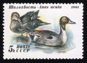 Russia Scott #6009-6010-6011 Stamp - Mint NH Set