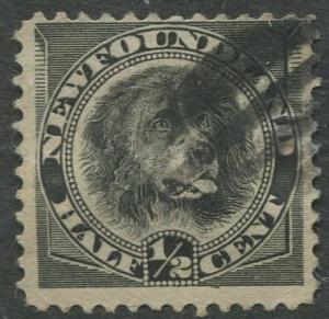 Newfoundland - Scott 58 - QV Definitive - 1894 - Used - Single 1/2c Stamp