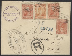 1905 Newfoundland Stamp Dealer Wm Noftall Registered Cover St John's to USA