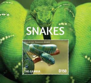 Gambia 2015 - Snakes - Souvenir stamp sheet - Scott #3674 - MNH