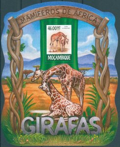 Mozambique 2015 MNH Wild Animals Stamps Giraffes Giraffe 1v S/S III