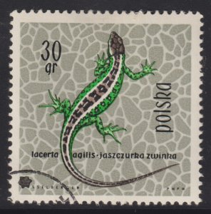 Poland 1134 Sand Lizard 1963