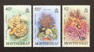 Montserrat 1980 #432-4, Sea Life, MNH.