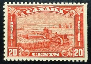 Canada, Scott 175, Mint NH, VF