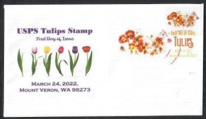 5681-FDC-58c Tulips 22-3-24, Mount Vernon, WA-DCP & Hadley, MA-Bullseye