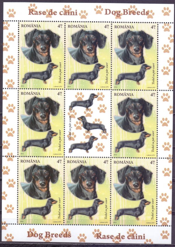 Romania. 2012. Small sheet 6640-43. Dogs. MNH.