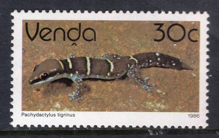 South Africa Venda 145 Lizard MNH VF