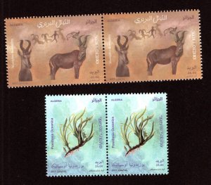 2023- Algeria- Envinronment Conservation-Posidonia-Hartebeest-Fauna & Flora PAIR