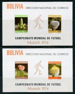 BOLIVIA SCOTT# 553a-b CEFILCO# 48-9 CACTI SOCCER WORLD CUP MNH S/S AS SHOWN