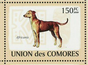 Dogs Stamp Aidi Sloughi Boerboel Basenji Azawakh Africanis S/S MNH #2135-2140 