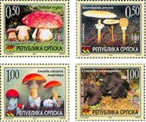 Serbian Rep. (B&H) / 2002 - Flora Mushrooms, MNH 