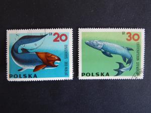 Fish, Poland, 1982, №125-2(IR)