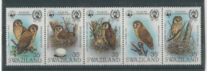 Swaziland, Postage Stamp, #405 Mint NH, 1982 Owls Wildlife Conservation, JFZ