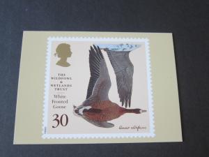 Great Britain 1996 Sc 1653-7 PC Bird set MNH