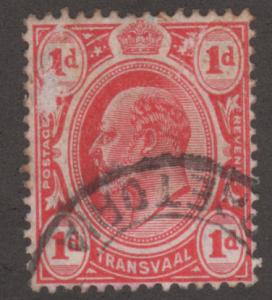 Transvaal 282 King Edward VII 1d 1905