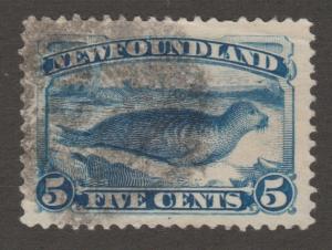 seal