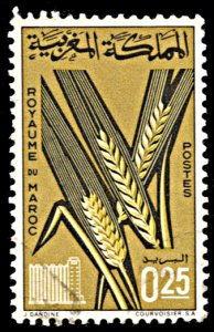 Morocco 133, used, Grain Cultivation