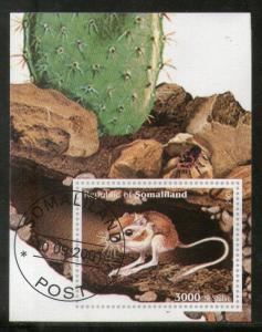 Somalia 2001 Rat Rodent Wild Life Animals Fauna M/s Cancelled # 3224