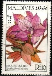 Flower, Ground Orchid, Maldive Islands stamp SC#1238 used