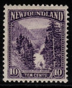 NEWFOUNDLAND SG157 1923 10c VIOLET MTD MINT