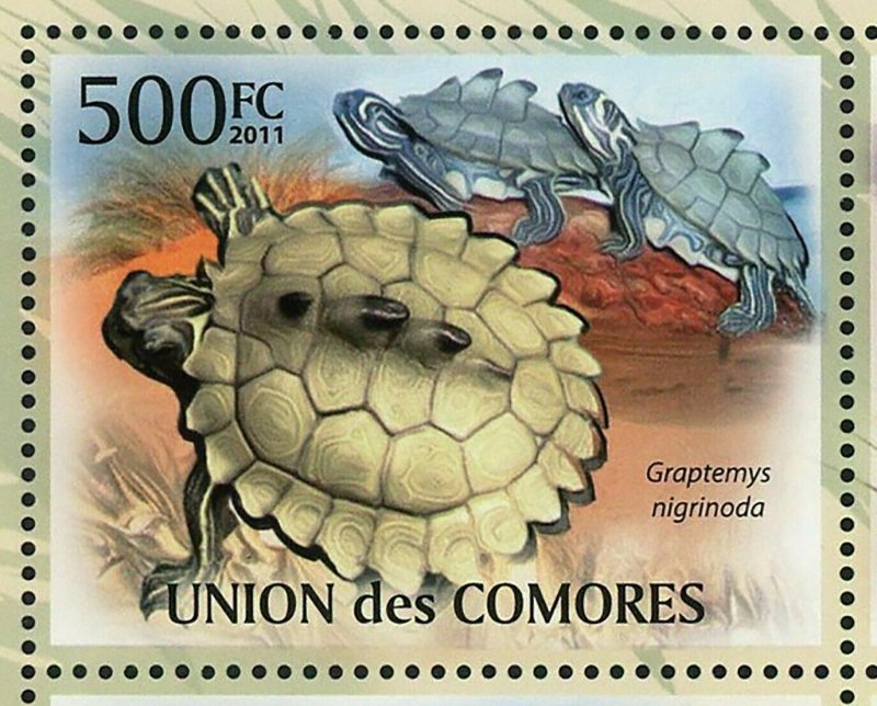 Turtles Stamp Pelochelys Cantorii Geochelone Sulcata S/S MNH #3007-3011 