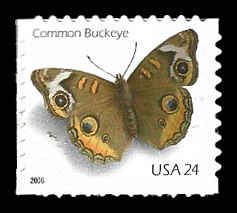 PCBstamps   US #4001 24c Butterfly, MNH, (6)