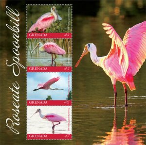 2019/09- GRENADA - BIRDS ROSEATE SPOONBILL  4V complet set    MNH ** T