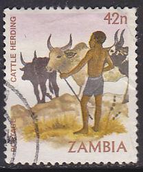 Zambia 249 Cattle Herding 1981