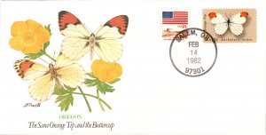 OR Sara Orange Tip Butterfly Cover
