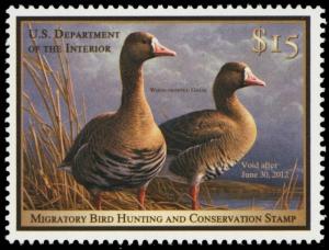 RW78, 2011 White-Fronted Geese Federal $15 Duck Stamp Mint NH - Stuart Katz