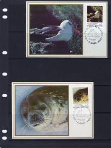 Argentina 1983 Sc#1456 Fauna and Southern Pioneers 10 Maximun Cards FDC