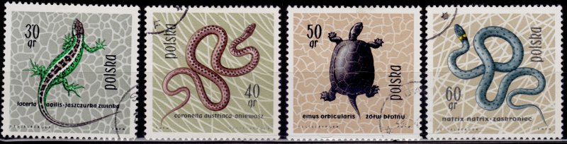 Poland, 1963, Protected Reptiles and Amphibians, partial, used